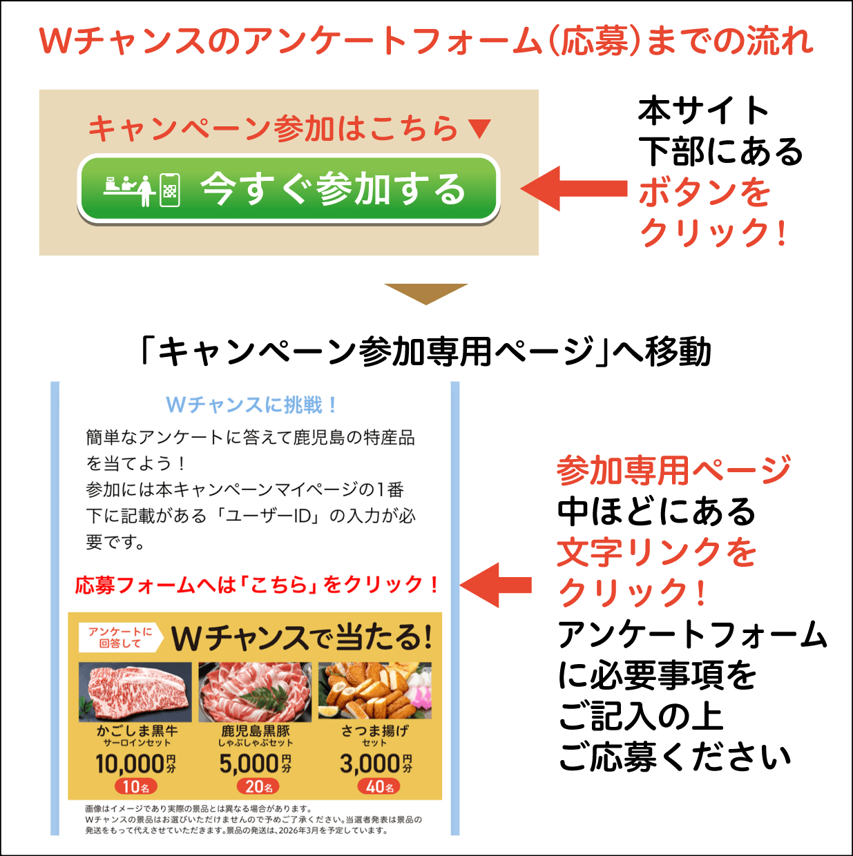 Wチャンスのアンケートフォーム（応募）までの流れ：本サイト下部にある「今すぐ参加する」ボタンをクリック！「キャンペーン参加専用サイト」へ移動、専用サイト中ほどにある文字リンクをクリック！アンケートフォームに必要事項をご記入の上ご応募ください